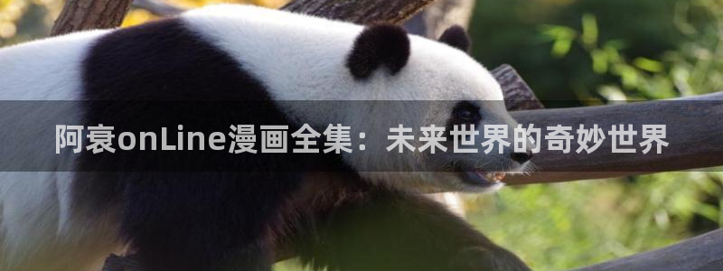 羞羞漫画同人：阿衰onLine漫画全集：未来世界的奇妙世界