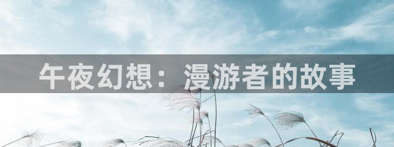 歪歪漫画羞羞漫画国产：午夜幻想：漫游者的故事